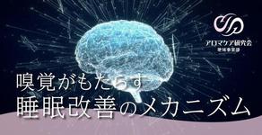 「嗅覚」と「不眠」の関係性。アロマがもたらす睡眠改善のメカニズム