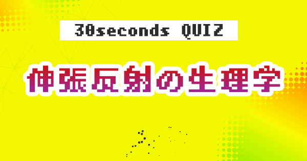 【クイズ】伸張反射の生理学
