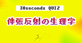 【クイズ】伸張反射の生理学