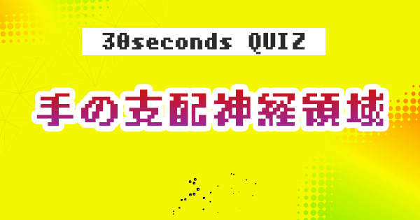 【クイズ】手の支配神経領域