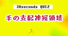【クイズ】手の支配神経領域