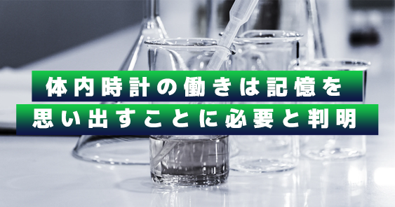 体内時計の働きは記憶を思い出すことに必要と判明｜東京大学