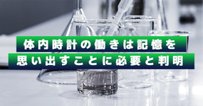 体内時計の働きは記憶を思い出すことに必要と判明｜東京大学