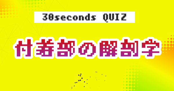【クイズ】付着部の解剖学④