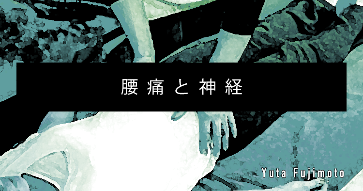 【SPOT Writer】腰痛と神経