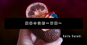 臓器の役割～腎臓～