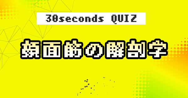 【クイズ】顔面筋の解剖学