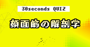【クイズ】顔面筋の解剖学