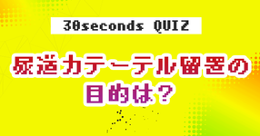 【クイズ】尿道カテーテル留置の目的は？