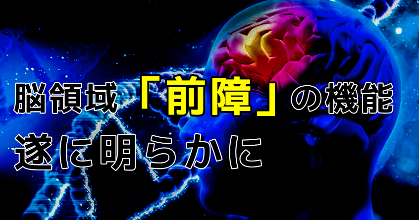 脳領域「前障」の機能が遂に明らかに 意識・睡眠へ関与