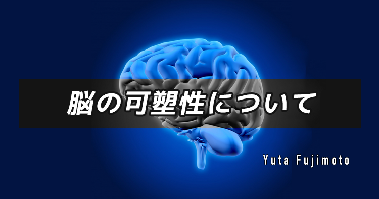 脳の可塑性について