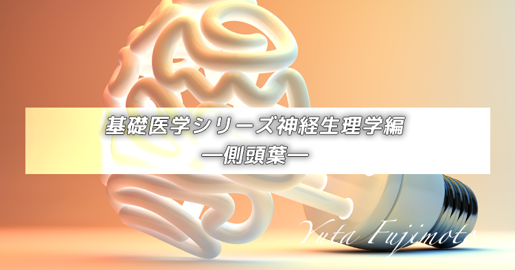 基礎医学シリーズ神経生理学編―側頭葉―
