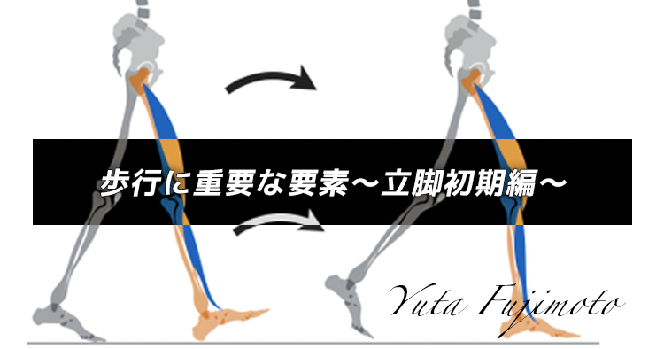 歩行に重要な要素〜立脚初期編〜