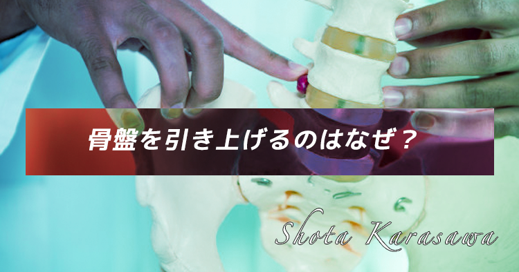 【脳卒中シリーズ】骨盤を引き上げるのはなぜ？