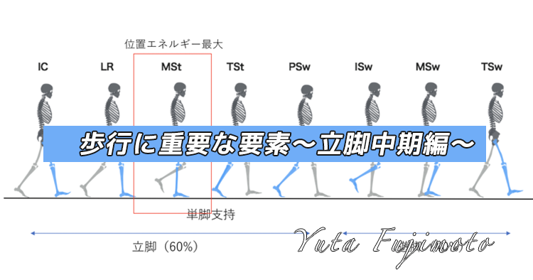 歩行に重要な要素〜立脚中期編〜