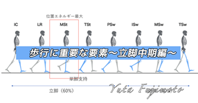 歩行に重要な要素〜立脚中期編〜