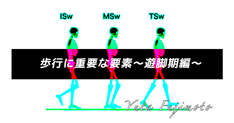 歩行に重要な要素〜遊脚期編〜