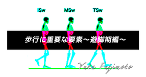 歩行に重要な要素〜遊脚期編〜