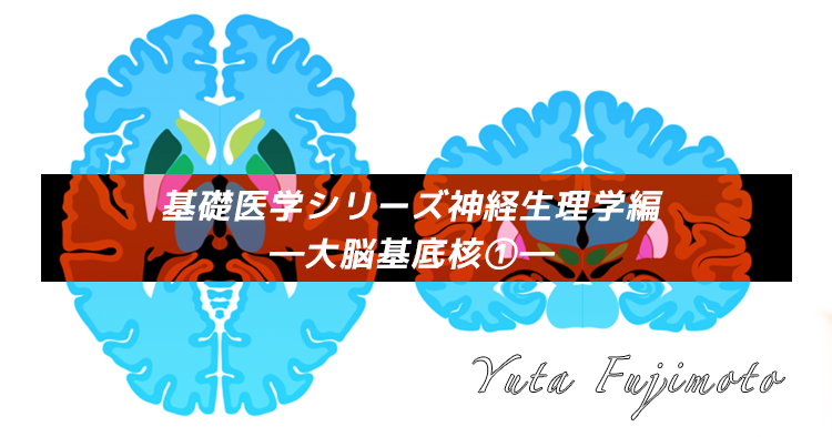 基礎医学シリーズ神経生理学編―大脳基底核①―