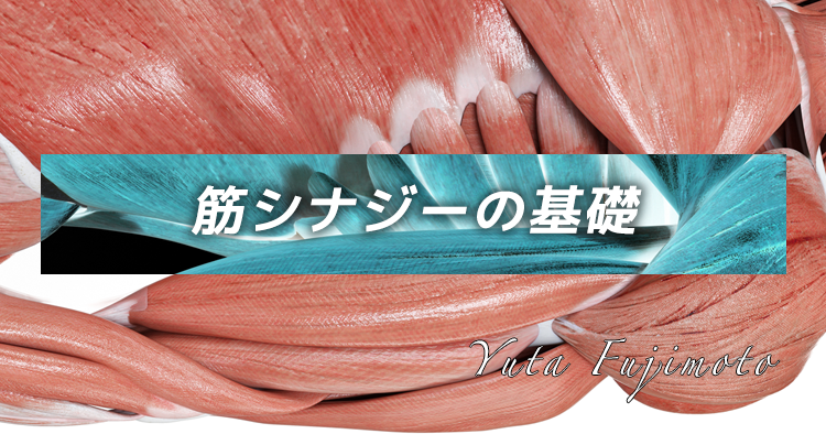 筋シナジーの基礎
