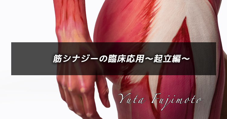 筋シナジーの臨床応用〜起立編〜