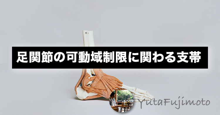 足関節の可動域制限に関わる支帯