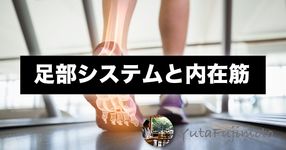 足部システムと内在筋