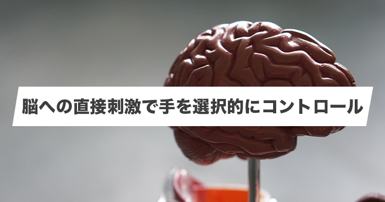 【早稲田大学】人の脳に特殊な刺激を与えることで左手を集中的に使用させることに成功