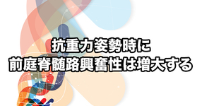 【畿央大学】抗重力姿勢時に前庭脊髄路興奮性は増大する