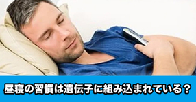昼寝の習慣は遺伝子に組み込まれている？ー昼寝に関連する123カ所の遺伝子座が特定ー