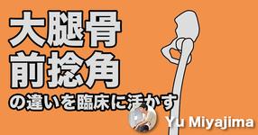 大腿骨前捻角の違いを臨床にどう活かすのか？