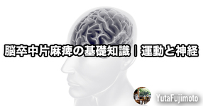 脳卒中片麻痺の基礎知識｜運動と神経