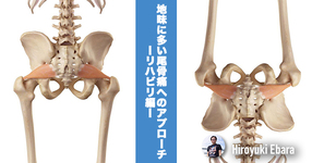 地味に多い尾骨痛へのアプローチ～リハビリ編～