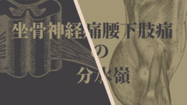 坐骨神経痛と腰下肢痛の分水嶺～理学療法評価からの考察～