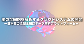 脳の全細胞を解析するクラウドシステムの開発 －日本発の全脳全細胞データ解析プラットフォーム－