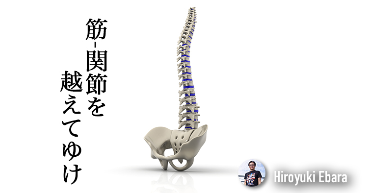 筋・関節を越えてゆけ！～筋骨格系疼痛に対する信念と態度その５～