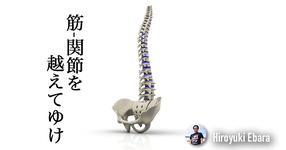 筋・関節を越えてゆけ！～筋骨格系疼痛に対する信念と態度その５～