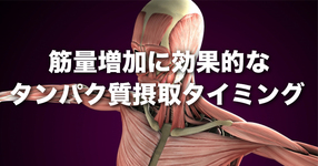 筋量増加に効果的なタンパク質摂取タイミング｜体内時計に合わせた朝のタンパク質摂取タイミングが筋量増加に効果的