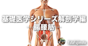 基礎医学シリーズ解剖学編―腸腰筋―