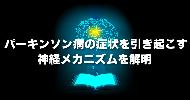 パーキンソン病の症状を引き起こす神経メカニズムを解明