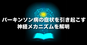 パーキンソン病の症状を引き起こす神経メカニズムを解明