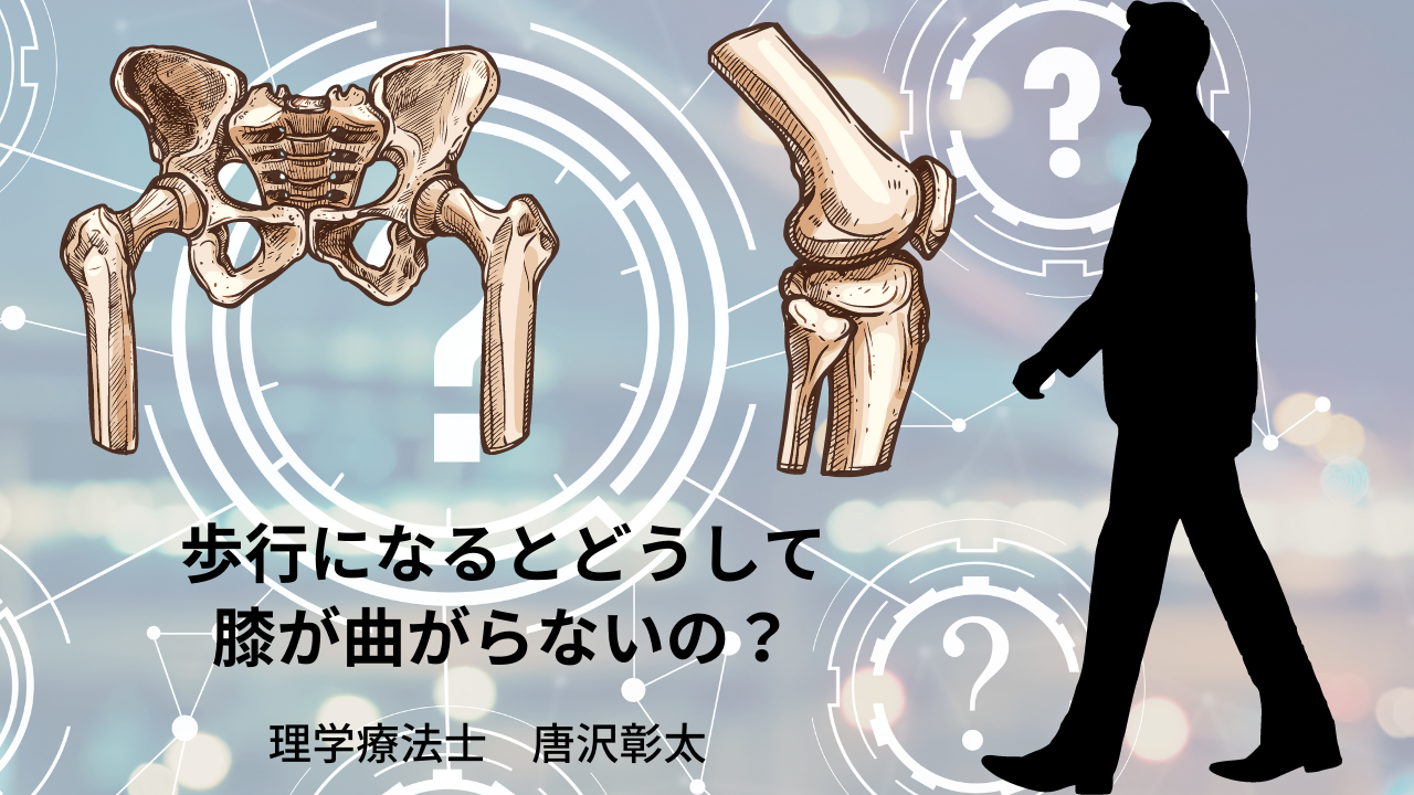 【脳卒中シリーズ】歩行になるとどうして膝が曲がらないのか？