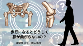 【脳卒中シリーズ】歩行になるとどうして膝が曲がらないのか？
