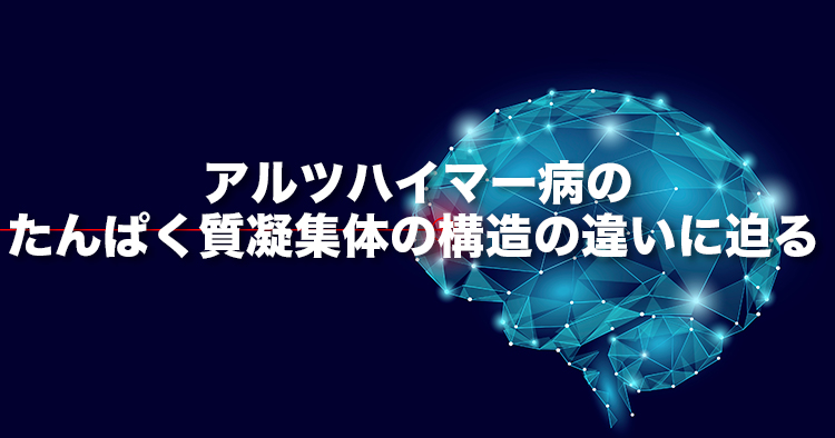 アルツハイマー病のたんぱく質凝集体の構造の違いに迫る ~微量試料計測で凝集たんぱく質の分子構造の違いを同定可能に~