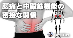 腰痛と中殿筋機能の密接な関係