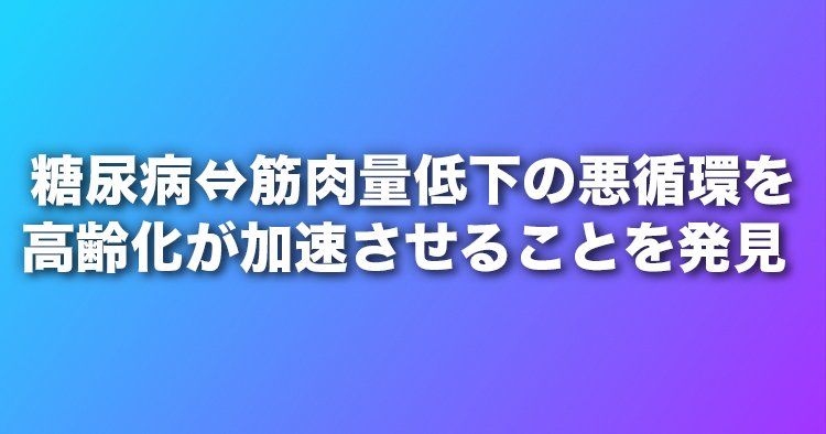 糖尿病⇔筋肉量低下の悪循環を高齢化が加速させることを発見