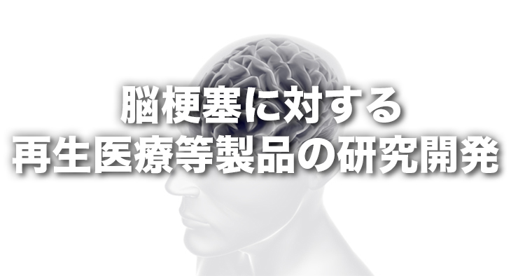 脳梗塞に対する再生医療等製品の研究開発―医師主導治験 RAINBOW研究の結果報告―