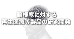 脳梗塞に対する再生医療等製品の研究開発―医師主導治験 RAINBOW研究の結果報告―