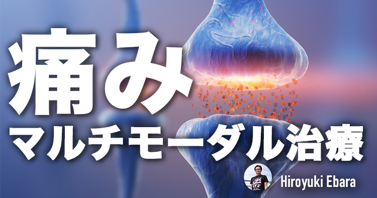 痛みのマルチモーダル治療とは①～感覚系のモードと薬物療法を理解する～