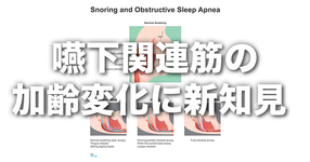 「 嚥下関連筋（舌、オトガイ舌骨筋）の加齢変化に、新知見 」 ― 嚥下関連筋の質も、加齢で低下する ―